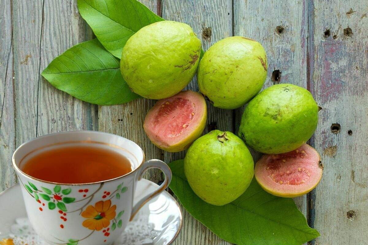 Guava Leaf Health benefits